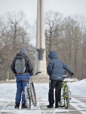 Paminklas Dariui ir Girėnui