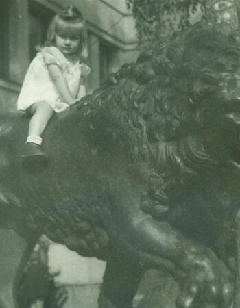 Lions of the War Museum