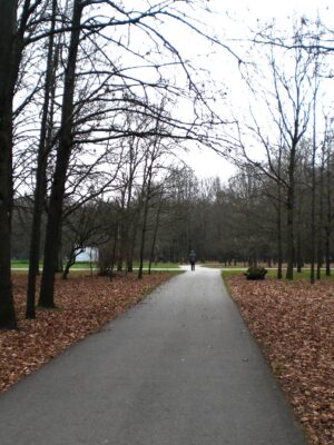 Ąžuolynas