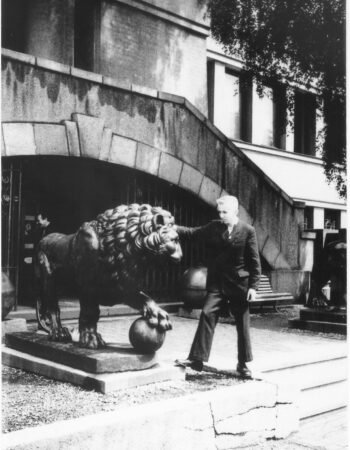 Lions of the War Museum